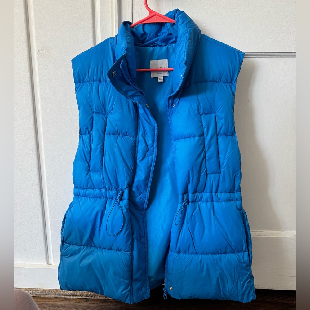 Love Tree Vibrant Blue Outerwear